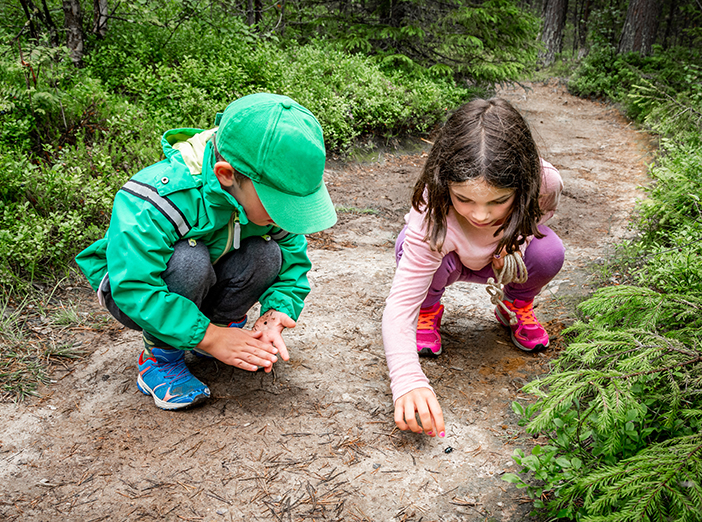 Operation Outdoors: Twisted Nature image